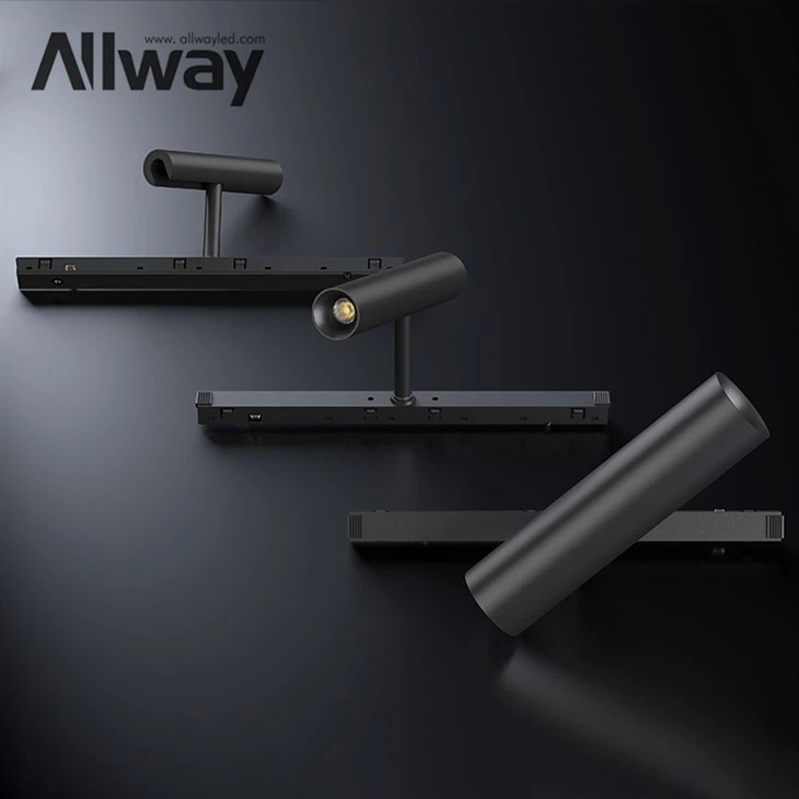 limyè teren mayetik